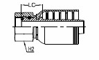 36002003