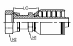36031001