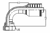 36031901