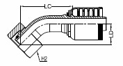 36056402