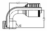 36056902